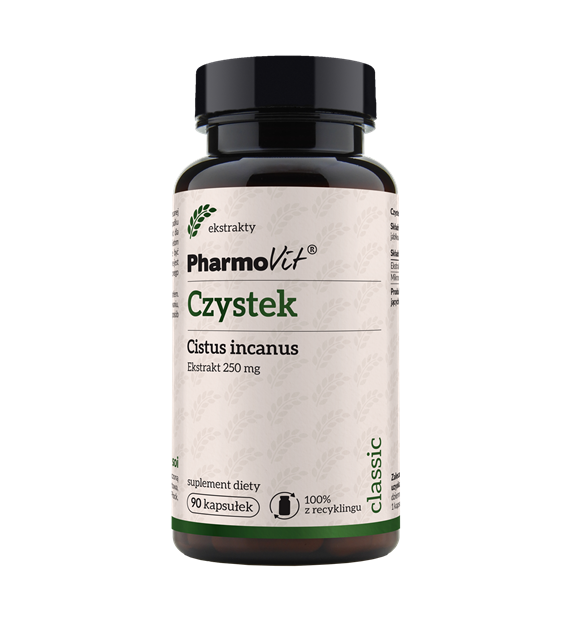 Czystek Cistus incanus 250 mg 90 kaps | Classic Pharmovit