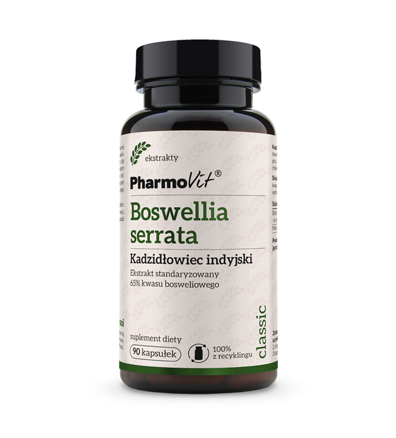 Boswellia serrata Kadzidłowiec indyjski Ekstrakt standaryzowany 65% kwasu bosweliowego 90 kaps | Classic Pharmovit